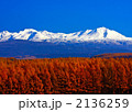 初雪と紅葉