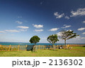 海の見える公園