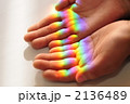 掌の虹