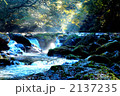 朝の菊池渓谷