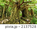 忘れられた時間１１