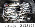 釣果スズキ
