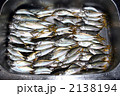 釣果アジ