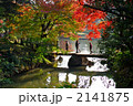 六義園の紅葉