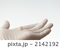 tooth_13
