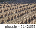 田舎の風景　こずみ