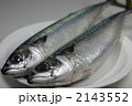 素材ナンバー 2143552 : 「鯖」