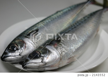 鯖