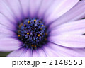2148553