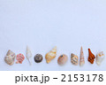 貝