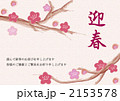 迎春