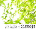 2155045