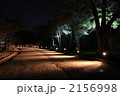 夜の植物園