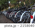 駐輪場の自転車たち