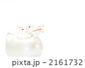 辰たつ年賀