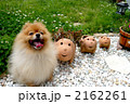 2162261