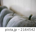 冬瓜　収穫