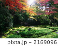 素材ナンバー 2169096 : 「瑠璃光院の紅葉」