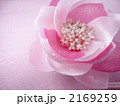 ピンクの花