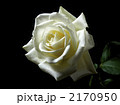 2170950