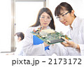 2173172