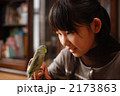 鳥と少女