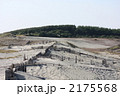 中田島砂丘の堆砂垣