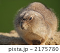 2175780