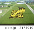2175910