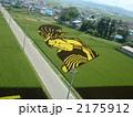 2175912