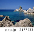 笹川流れ夏