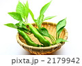 ししとう