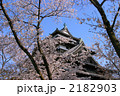 松江城の桜