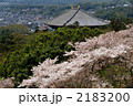 奈良　東大寺と桜