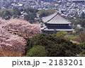 奈良　東大寺と桜
