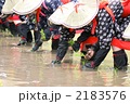 御田植祭