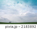 親子の木
