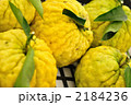 鬼柚子