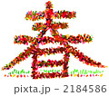 spring1112pix