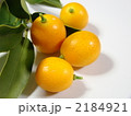 金柑