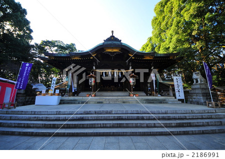 パワースポット大宮八幡宮 パワースポット大宮八幡宮