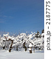 雪景色11