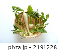 春の七草