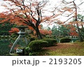秋の兼六園紅葉