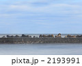 岸壁