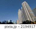 都庁と新宿副都心ビル群
