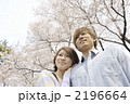 桜の木の下の若いカップル