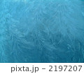 着霜の自然美