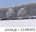 2198403