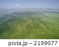フロリダの海